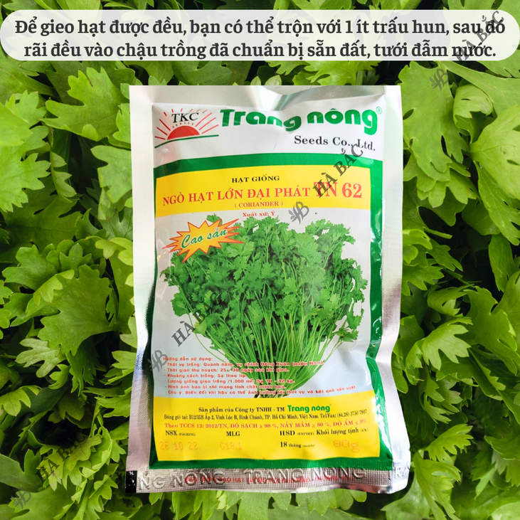 Ngò Lớn Đại Phát TN62 Trang Nông (80gram),  hạt giống nảy mầm tốt, năng suất cao, trông quanh năm - Hạt giống Hà Bắc