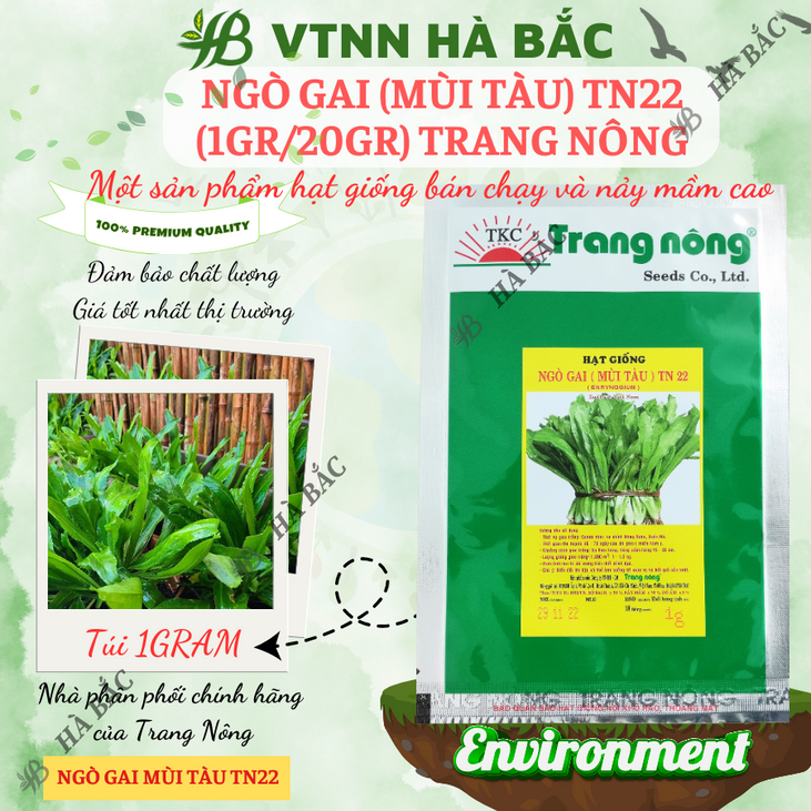 Ngò Gai (Mùi tàu) TN22 Trang Nông (1gr/20gr), hạt giống nảy mầm tốt, năng suất cao, trông quanh năm - Hạt giống Hà Bắc