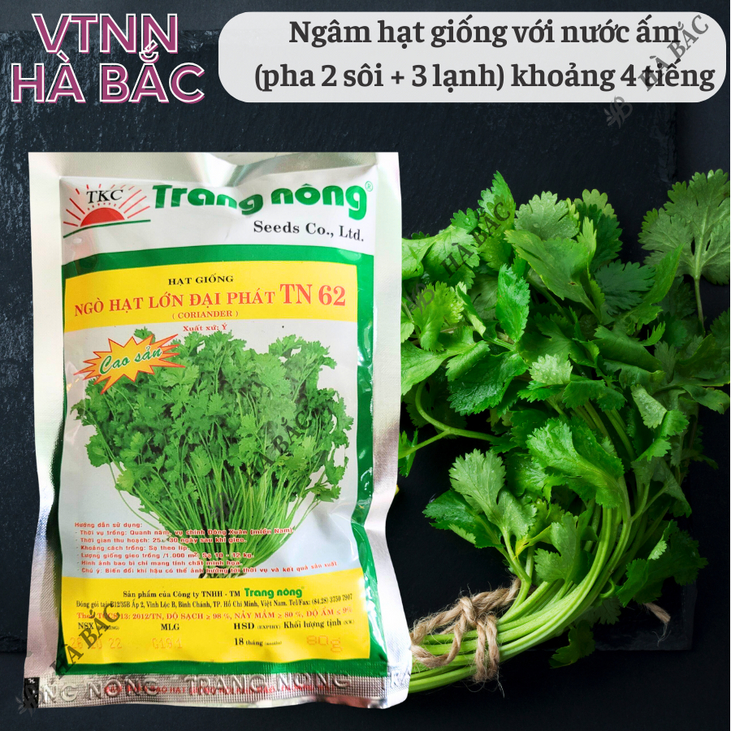 Ngò Lớn Đại Phát TN62 Trang Nông (80gram),  hạt giống nảy mầm tốt, năng suất cao, trông quanh năm - Hạt giống Hà Bắc