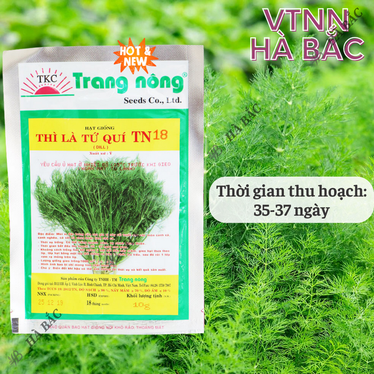 Thì Là Tứ Quý TN18 Trang Nông (10gram), hạt giống nảy mầm tốt, năng suất cao, trông quanh năm - Hạt giống Hà Bắc