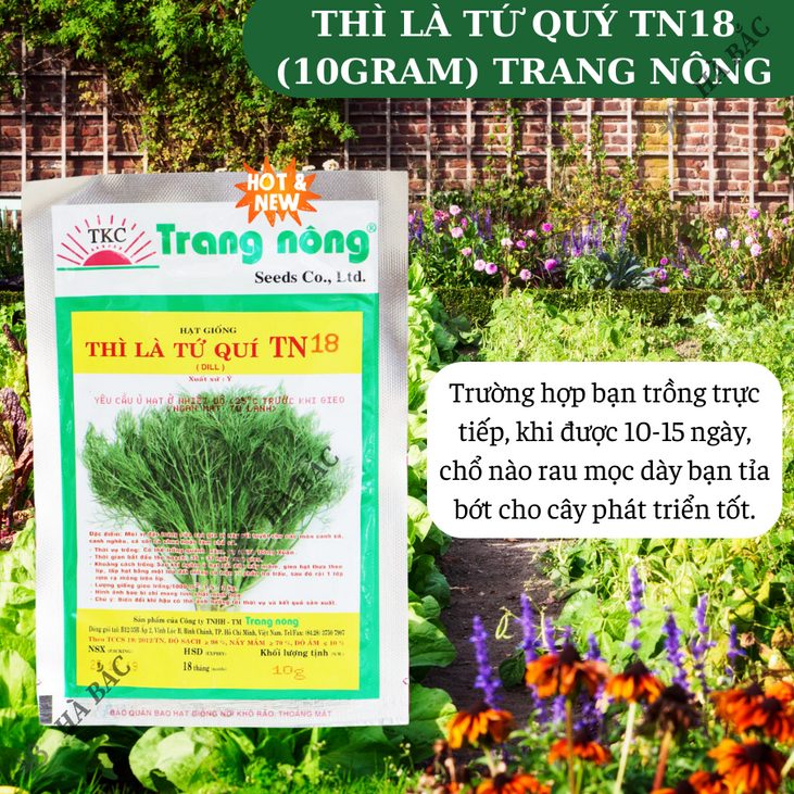 Thì Là Tứ Quý TN18 Trang Nông (10gram), hạt giống nảy mầm tốt, năng suất cao, trông quanh năm - Hạt giống Hà Bắc