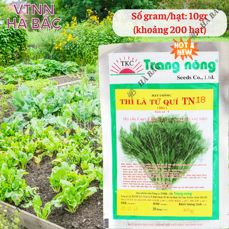 Thì Là Tứ Quý TN18 Trang Nông (10gram), hạt giống nảy mầm tốt, năng suất cao, trông quanh năm - Hạt giống Hà Bắc
