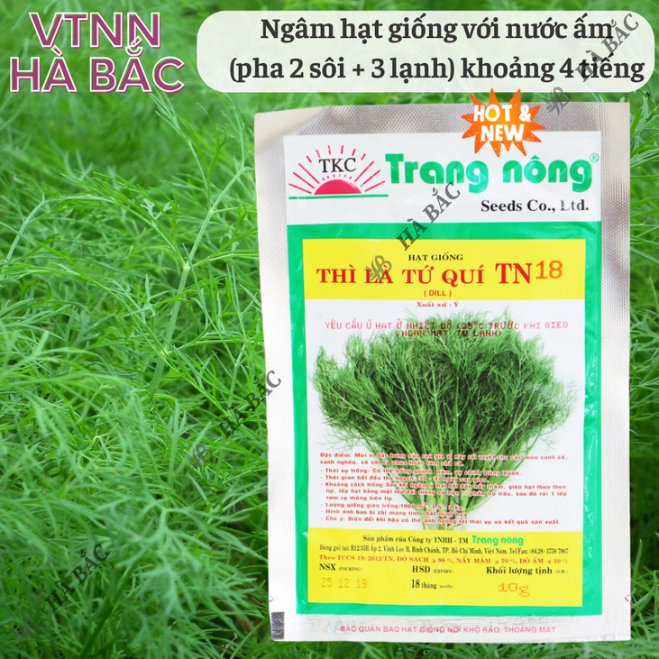 Thì Là Tứ Quý TN18 Trang Nông (10gram), hạt giống nảy mầm tốt, năng suất cao, trông quanh năm - Hạt giống Hà Bắc