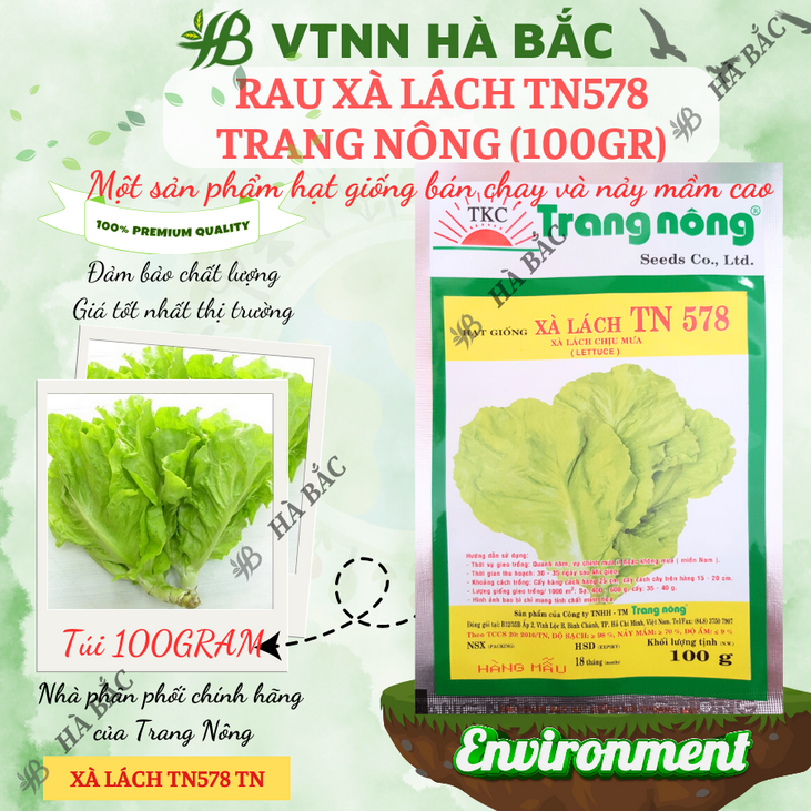 Xà Lách TN578 Trang Nông (100gr), hạt giống nảy mầm tốt, năng suất cao, trông quanh năm - Hạt giống Hà Bắc