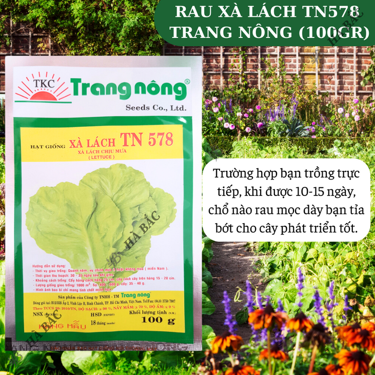 Xà Lách TN578 Trang Nông (100gr), hạt giống nảy mầm tốt, năng suất cao, trông quanh năm - Hạt giống Hà Bắc
