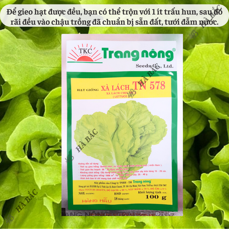 Xà Lách TN578 Trang Nông (100gr), hạt giống nảy mầm tốt, năng suất cao, trông quanh năm - Hạt giống Hà Bắc