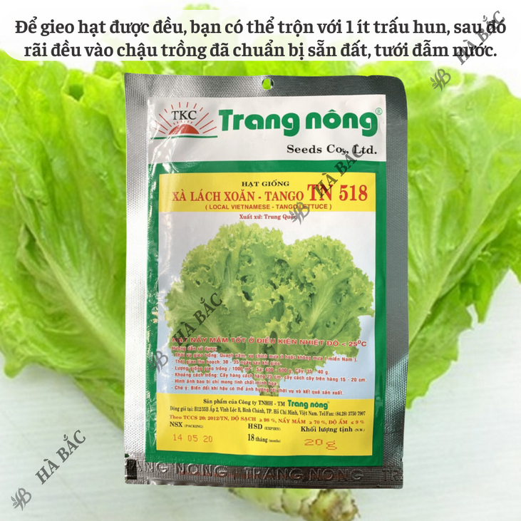 Xà Lách Xoăn Tango TN518 Trang Nông (20gram), hạt giống nảy mầm tốt, năng suất cao, trông quanh năm - Hạt giống Hà Bắc