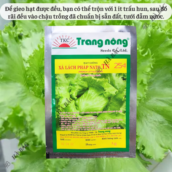 Xà Lách Pháp Nato TN254 Trang Nông (1gram), hạt giống nảy mầm tốt, năng suất cao, trông quanh năm - Hạt giống Hà Bắc