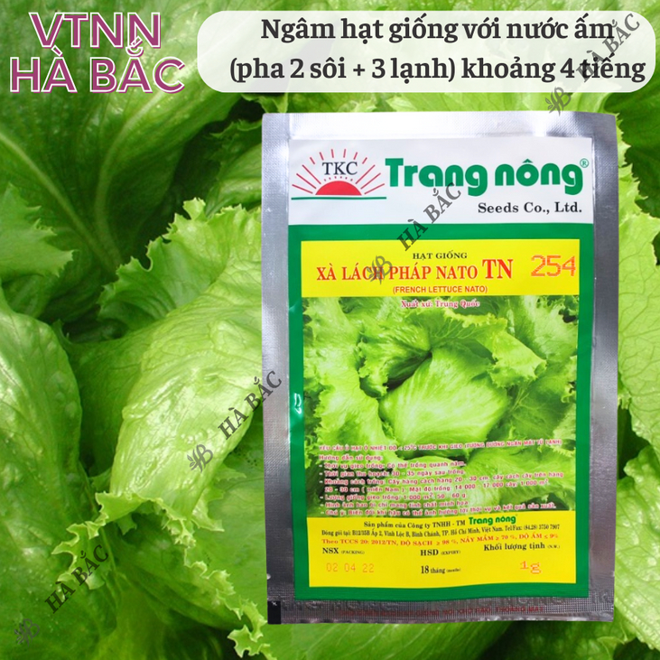 Xà Lách Pháp Nato TN254 Trang Nông (1gram), hạt giống nảy mầm tốt, năng suất cao, trông quanh năm - Hạt giống Hà Bắc