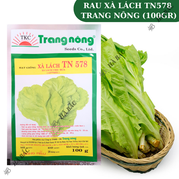 Xà Lách TN578 Trang Nông (100gr), hạt giống nảy mầm tốt, năng suất cao, trông quanh năm - Hạt giống Hà Bắc