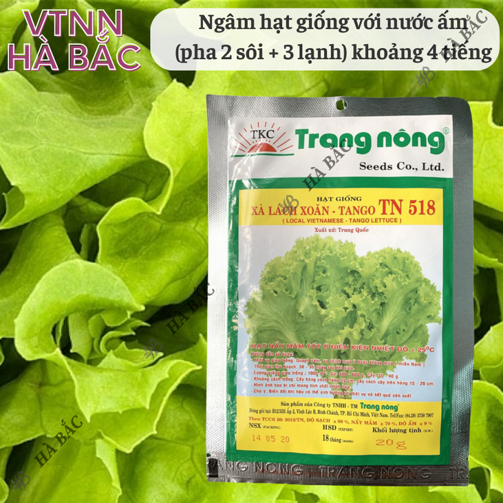Xà Lách Xoăn Tango TN518 Trang Nông (20gram), hạt giống nảy mầm tốt, năng suất cao, trông quanh năm - Hạt giống Hà Bắc