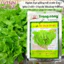 Xà Lách TN591 Trang Nông (10gr/100gr), hạt giống nảy mầm tốt, năng suất cao, trông quanh năm - Hạt giống Hà Bắc