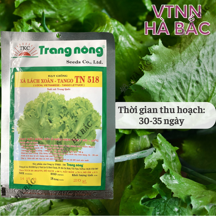 Xà Lách Xoăn Tango TN518 Trang Nông (20gram), hạt giống nảy mầm tốt, năng suất cao, trông quanh năm - Hạt giống Hà Bắc