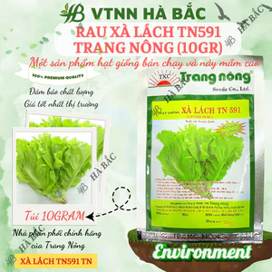 Xà Lách TN591 Trang Nông (10gr/100gr), hạt giống nảy mầm tốt, năng suất cao, trông quanh năm - Hạt giống Hà Bắc