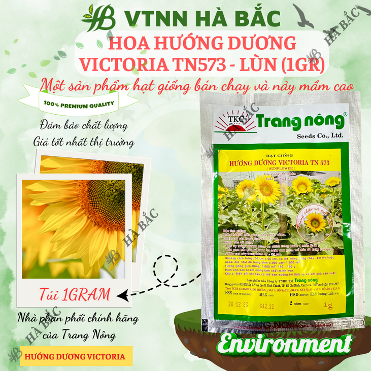 Hoa Hướng Dương Victoria TN573 - LÙN Trang Nông (1gram), hạt giống nảy mầm tốt, năng suất cao, trông quanh năm - Hà Bắc