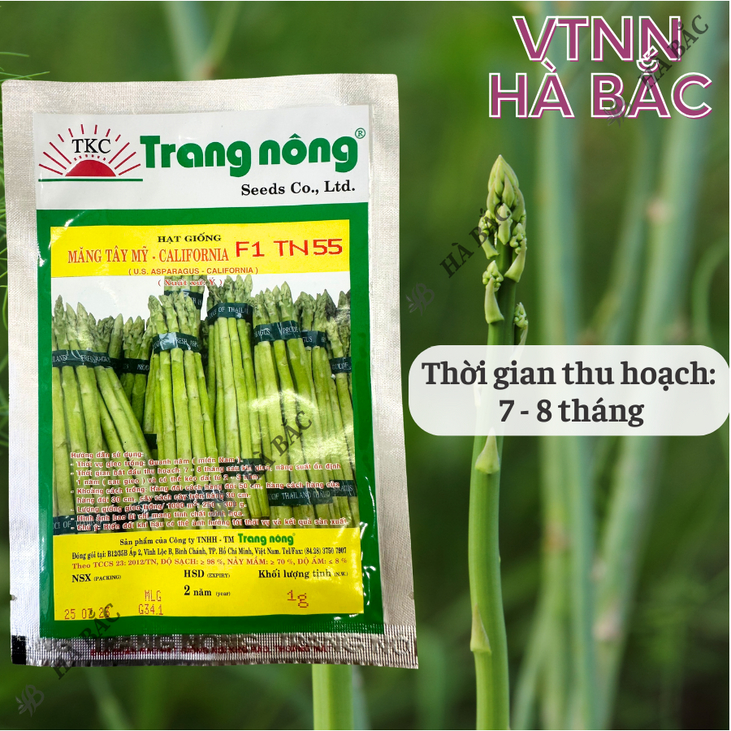 Măng Tây Mỹ California F1 TN55/TN1A Trang Nông (1gr/5gr), hạt giống nảy mầm tốt, năng suất cao, trông quanh năm