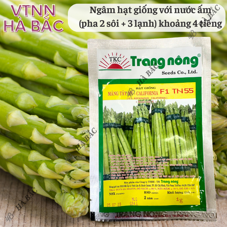 Măng Tây Mỹ California F1 TN55/TN1A Trang Nông (1gr/5gr), hạt giống nảy mầm tốt, năng suất cao, trông quanh năm