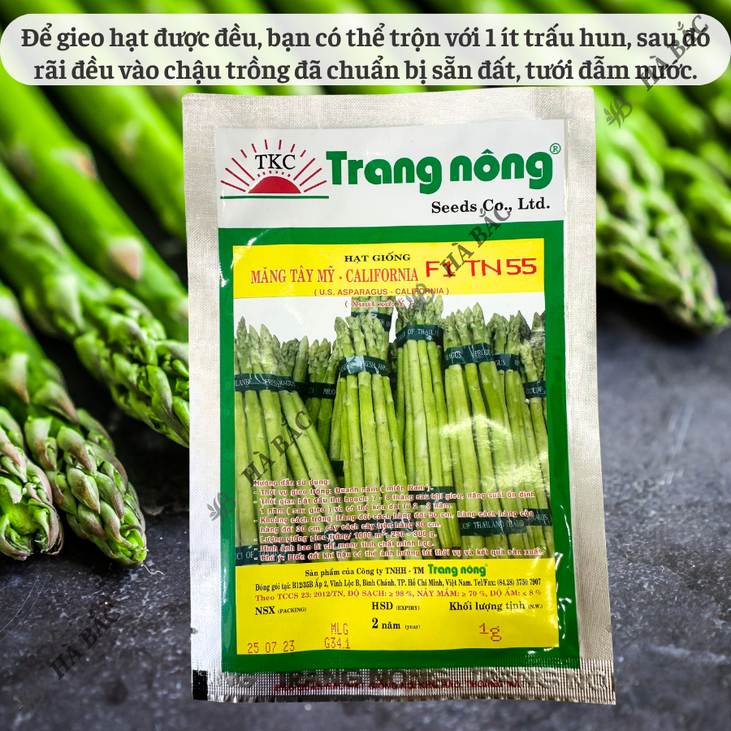 Măng Tây Mỹ California F1 TN55/TN1A Trang Nông (1gr/5gr), hạt giống nảy mầm tốt, năng suất cao, trông quanh năm