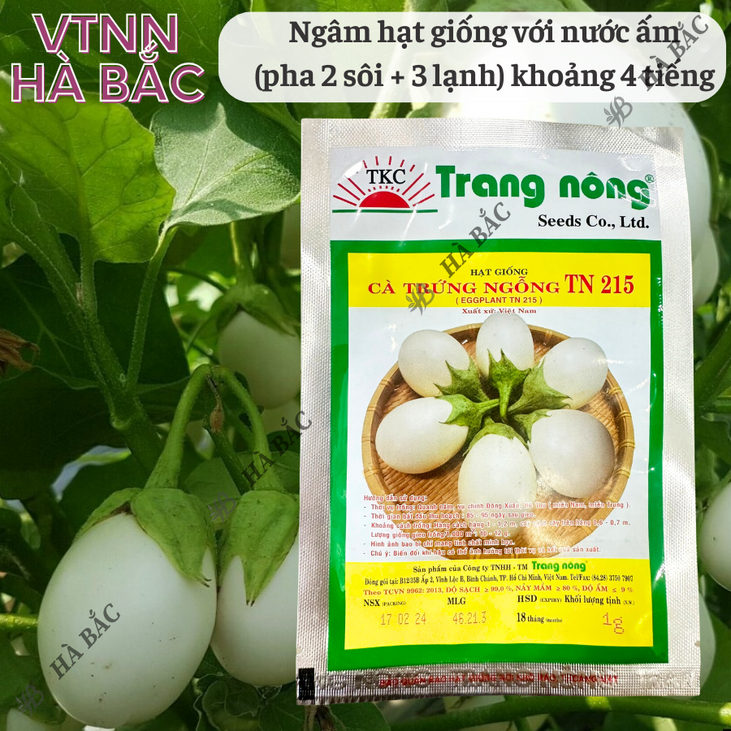 Cà Trứng Ngỗng TN215 Trang Nông (1gram), hạt giống nảy mầm tốt, năng suất cao, trông quanh năm - Hạt giống Hà Bắc