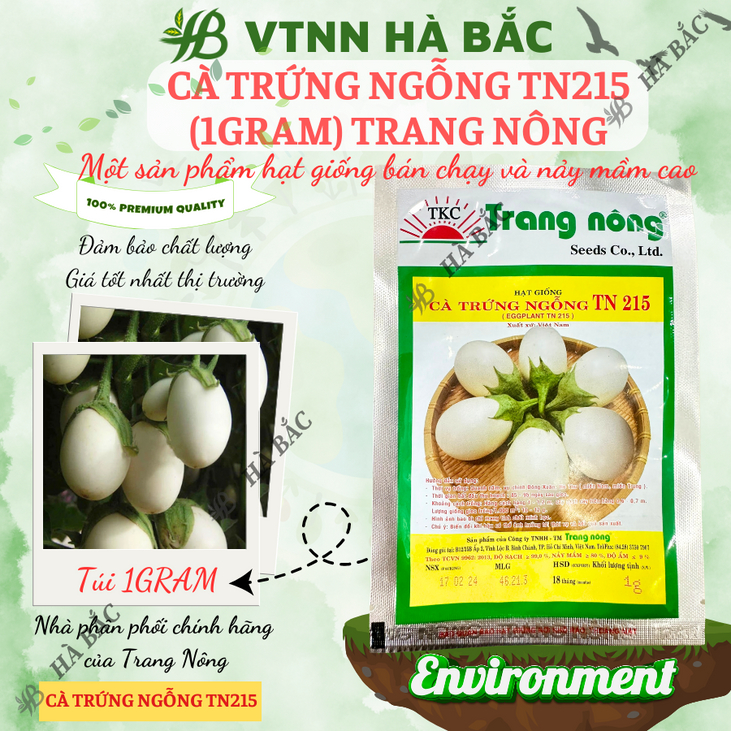 Cà Trứng Ngỗng TN215 Trang Nông (1gram), hạt giống nảy mầm tốt, năng suất cao, trông quanh năm - Hạt giống Hà Bắc