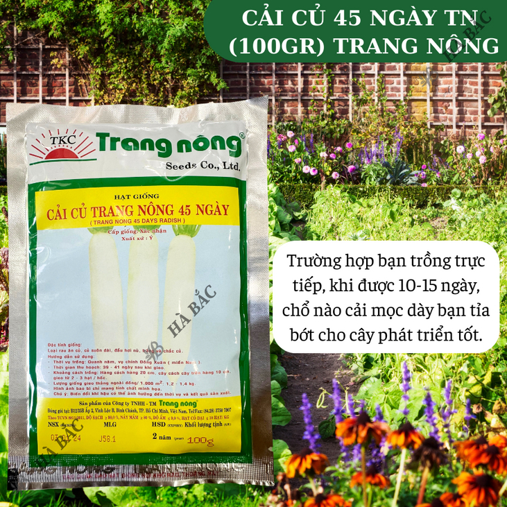 Cải Củ 45 Ngày Trang Nông (100gr), hạt giống nảy mầm tốt, năng suất cao, trông quanh năm - Hạt giống Hà Bắc
