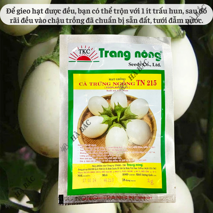 Cà Trứng Ngỗng TN215 Trang Nông (1gram), hạt giống nảy mầm tốt, năng suất cao, trông quanh năm - Hạt giống Hà Bắc