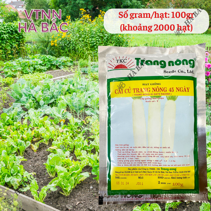 Cải Củ 45 Ngày Trang Nông (100gr), hạt giống nảy mầm tốt, năng suất cao, trông quanh năm - Hạt giống Hà Bắc