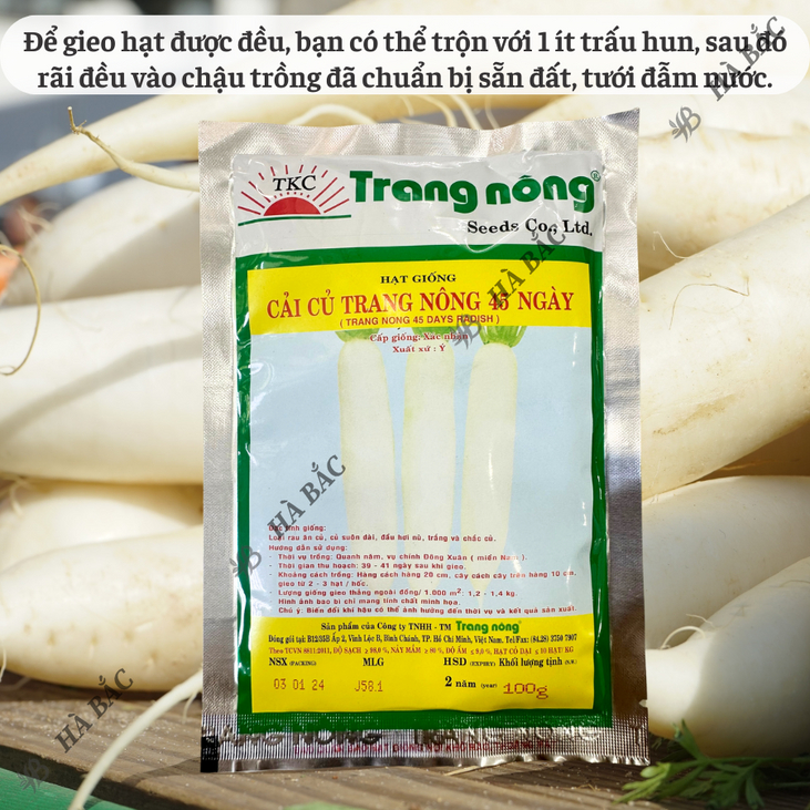 Cải Củ 45 Ngày Trang Nông (100gr), hạt giống nảy mầm tốt, năng suất cao, trông quanh năm - Hạt giống Hà Bắc
