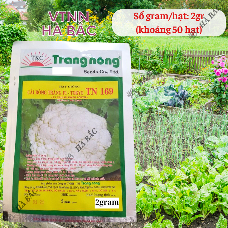 Bông Cải TRẮNG - Súp Lơ F1 Tokyo TN150 - TN169 Trang Nộng (2gr), hạt giống nảy mầm tốt, năng suất cao, trông quanh năm