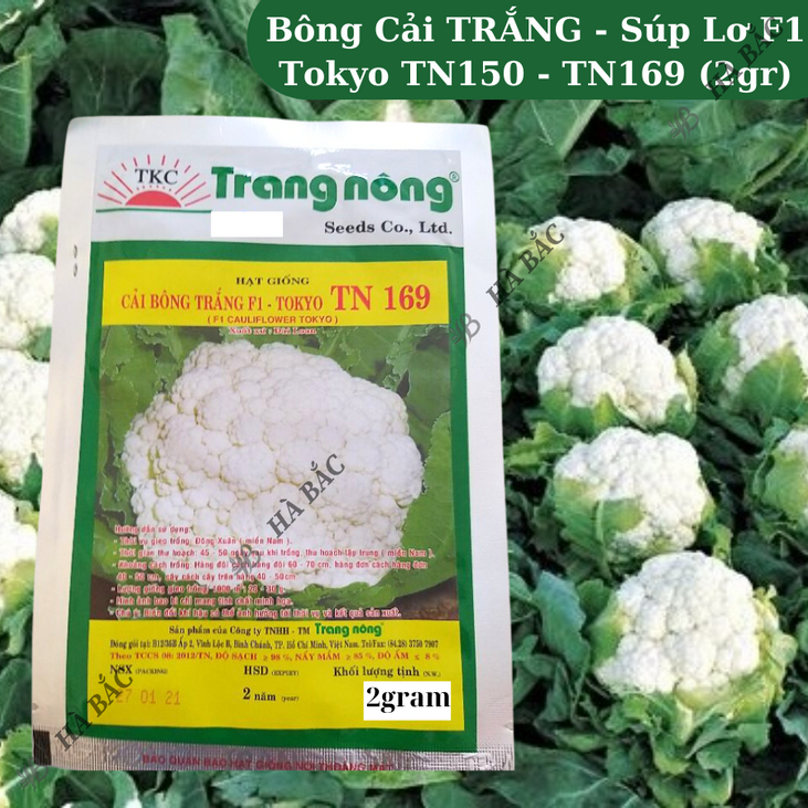 Bông Cải TRẮNG - Súp Lơ F1 Tokyo TN150 - TN169 Trang Nộng (2gr), hạt giống nảy mầm tốt, năng suất cao, trông quanh năm