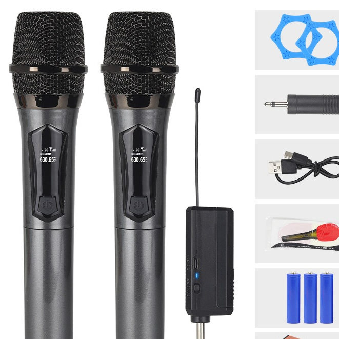 Bộ Micro không dây karaoke chuyên nghiệp. Gồm 1 thu và 2 mic cầm tay ...