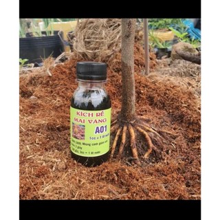 sản phẩm siêu kích rễ a01 sắp - đế