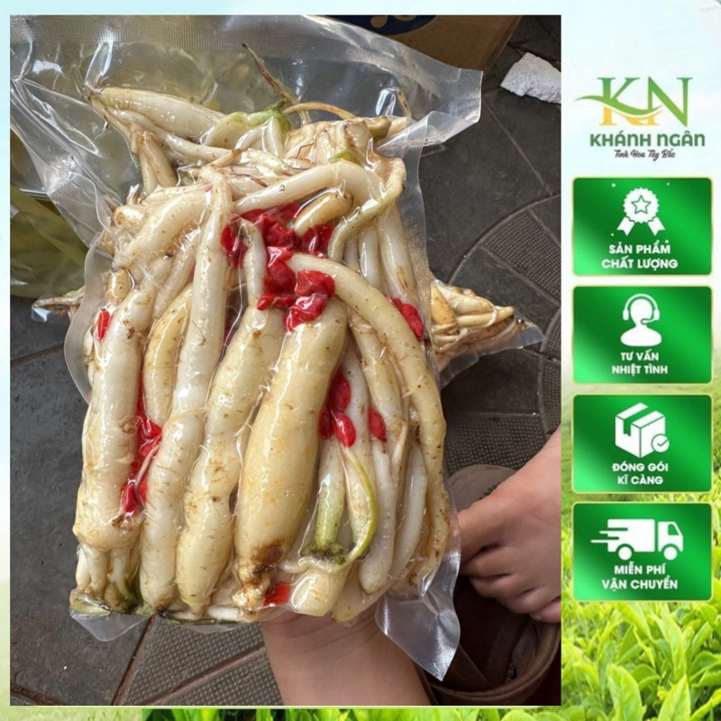 Đẳng Sâm Rừng Tự Nhiên Tây Bắc – Hàng Khô / Tươi – Dược Liệu Tây Bắc