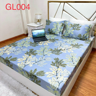 Bộ Ga Gối Lụa Thái , ga cùng  màu và vỏ gối có hình mềm mịn mát bo chun đủ kích thước