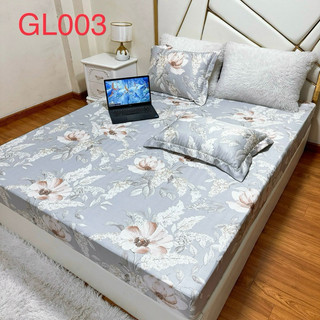 Bộ Ga Gối Lụa Thái , ga cùng  màu và vỏ gối có hình mềm mịn mát bo chun đủ kích thước