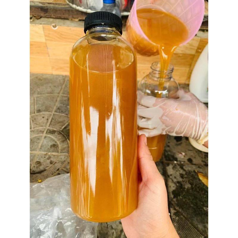 Mật Ong Khoái Rừng Nguyên Chất 100% | Mật Sánh Đặc Thơm Đậm Ngọt Thanh Tự Nhiên