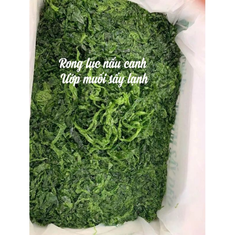 500g rong lục ulva salad nấu canh | Shopee Việt Nam