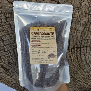 CÀ PHÊ ROBUSTA GIA LAI NGUYÊN CHẤT