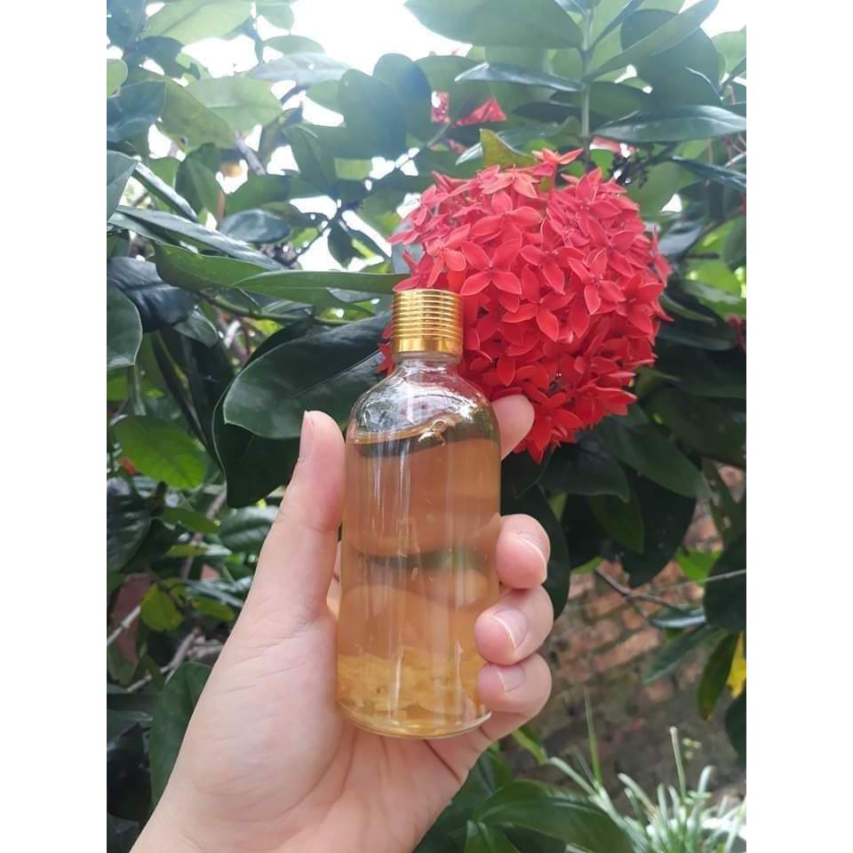 TINH DẦU TRÀM NGUYÊN CHẤT NGÂM CỦ NÉM HIỂU NHY