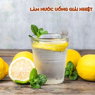 Cây Chanh Vàng Mỹ THIỆN FARM 80cm, quả ngon thơm nồng, dùng ăn quả, salad, pha chế trà chanh, lipton