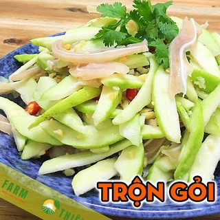Cây Ổi Nữ Hoàng THIỆN FARM 70cm, quả giòn ngọt đậm ít hạt, trồng sân thượng, ban công