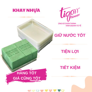 KHAY23 gồm 50 CÁI KHAY NHỰA ĐỰNG XỐP CẮM HOA (đựng vừa 2/3 cục xốp) - Cố định xốp dễ hơn (ĐƯỢC ĐỒNG KIỂM)