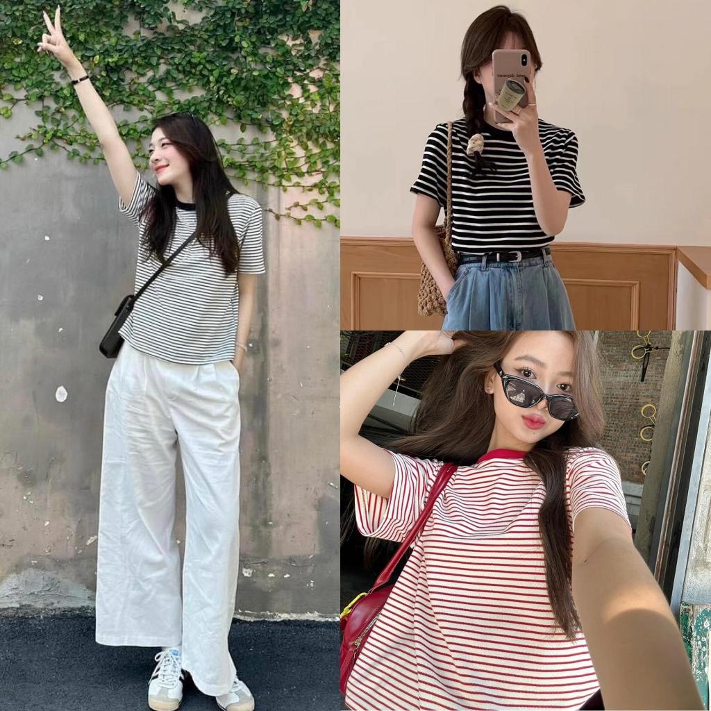 Áo thun babytee kẻ ngang form vừa chất cotton SUMIISHOP mã A03