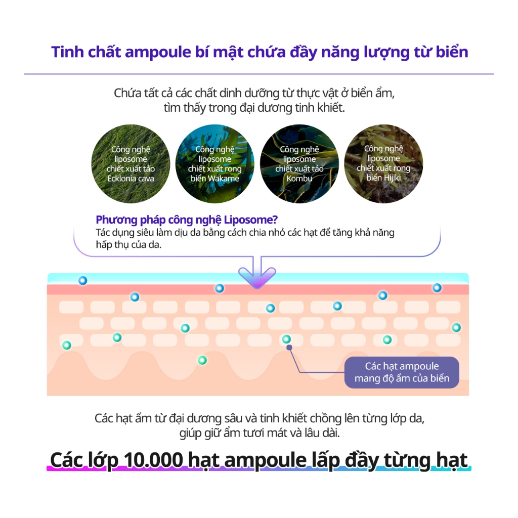 Kem dưỡng ẩm thế hệ mới chuyên sâu Dewycel Ampule Cream 80ml