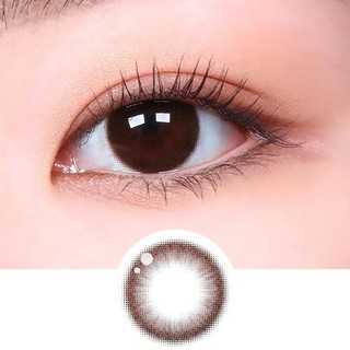 SIHY – Kính áp tròng, Lens [CẬN] Camilia màu nâu trầm, độ mắt 0 đến 6 độ, chống tia UV++