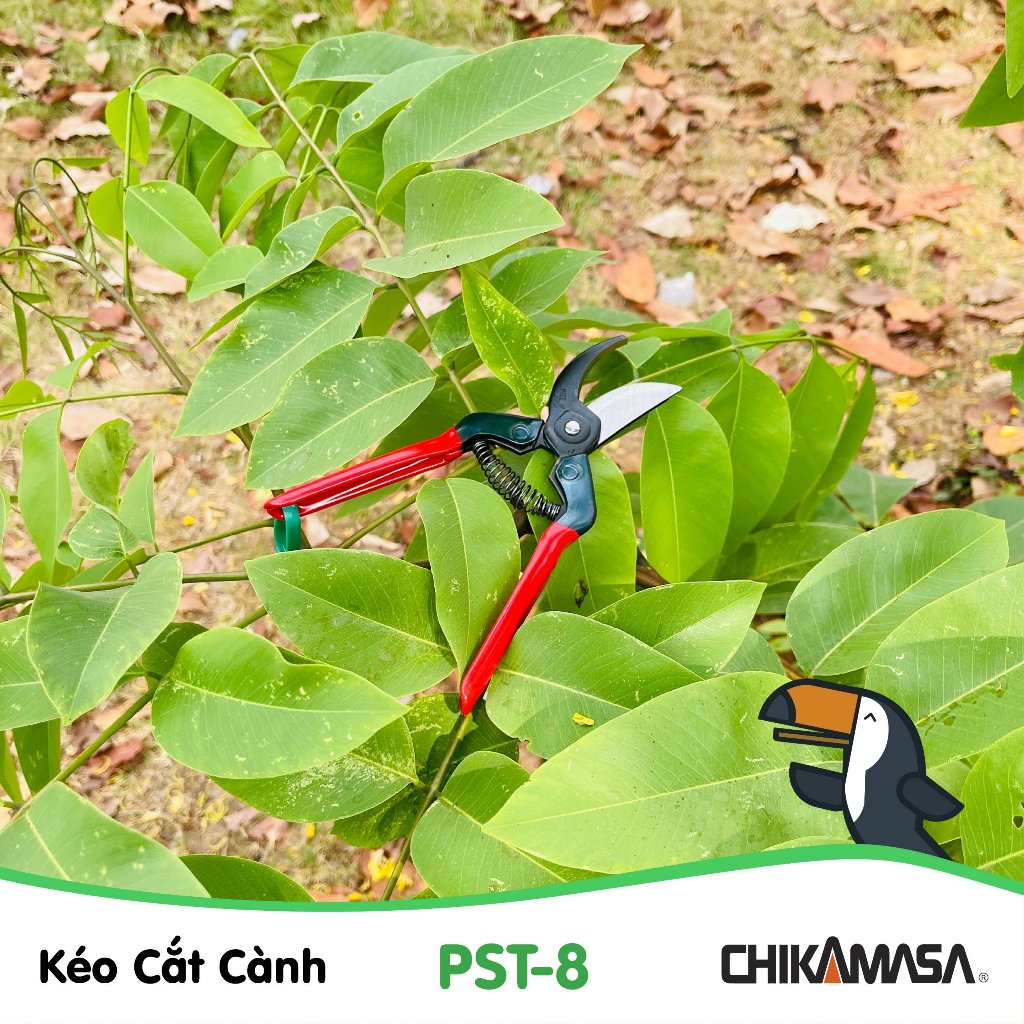 Kéo cắt tỉa cành cao cấp Nhật bản Chikamasa PST-8 - chiều dài lưỡi 45mm - lưỡi thép carbon chất lượng cao siêu bén