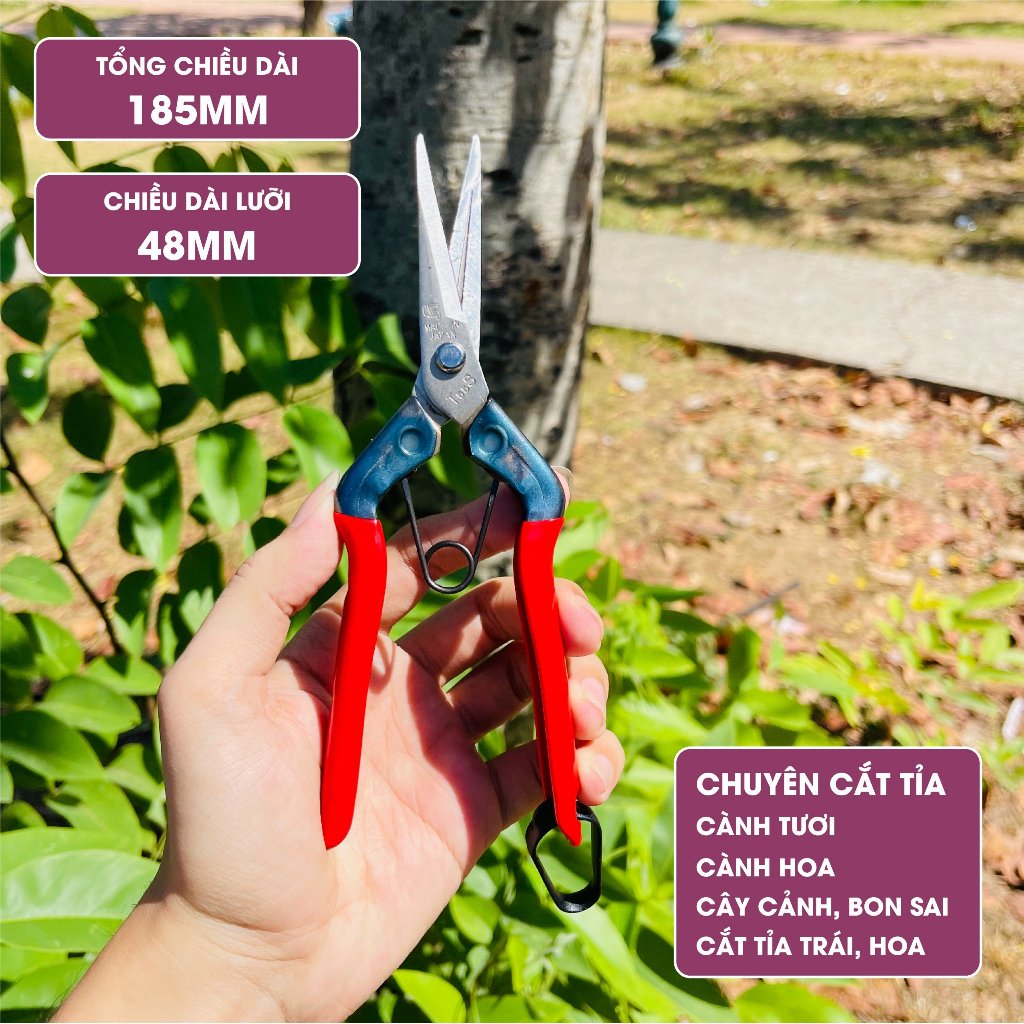 Kéo tỉa cành Nhật Bản Chikamasa T-550S