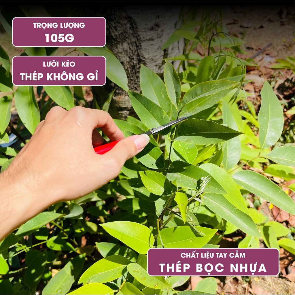 Kéo tỉa cành Nhật Bản Chikamasa T-550S