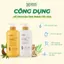 Dầu Gội Thảo Dược Hữu Cơ Gừng Dừa Cỏ Cây Hoa Lá - Giảm Rụng Tóc Giúp Tóc Mềm Mượt - 650g Baroorganic