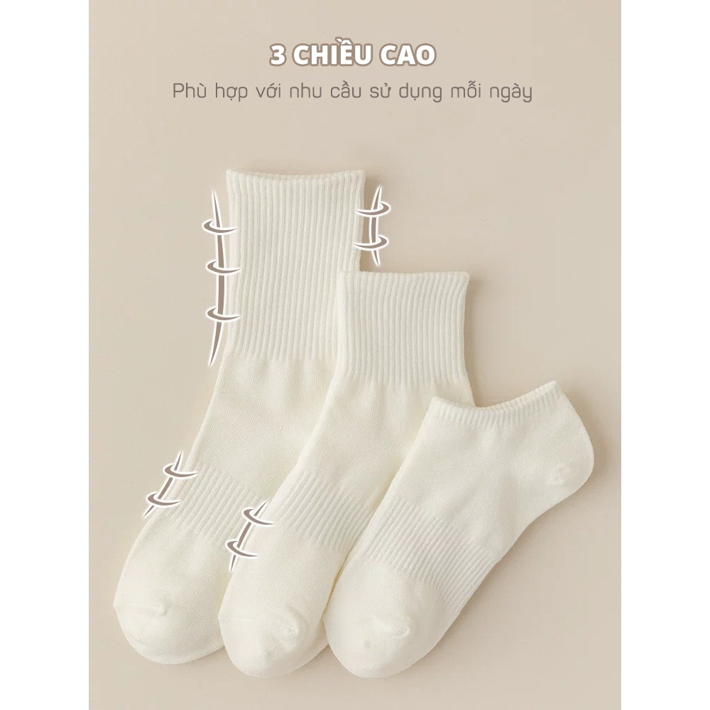 Tất vớ nữ trơn đơn giản basic 2 màu trắng đen 3 chiều cao, chất liệu cotton co giãn thoáng khí - Ekiu Shop